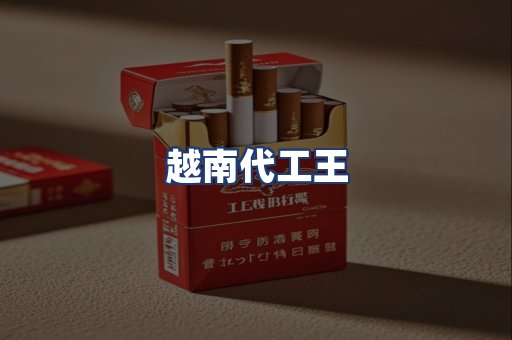 越南代工王